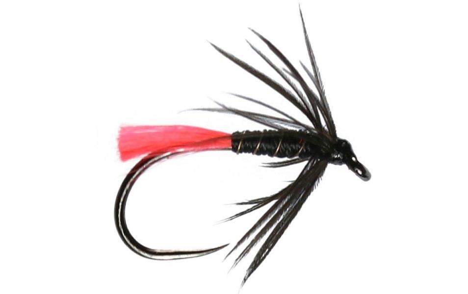 Reid's Assassin Fly - Fishing Flies with Fish4Flies UK