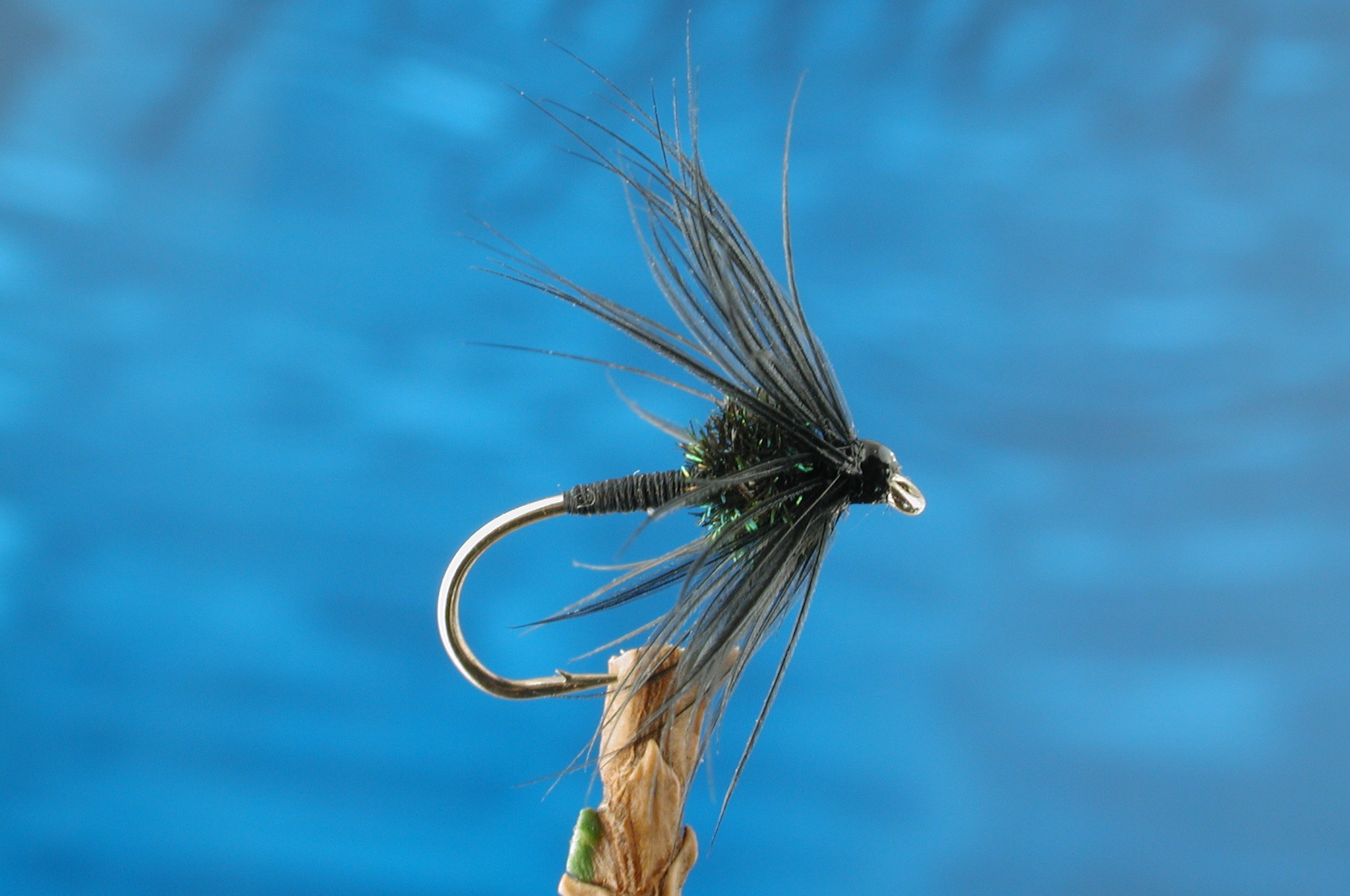 Black Magic Fly - Fishing Flies with Fish4Flies UK